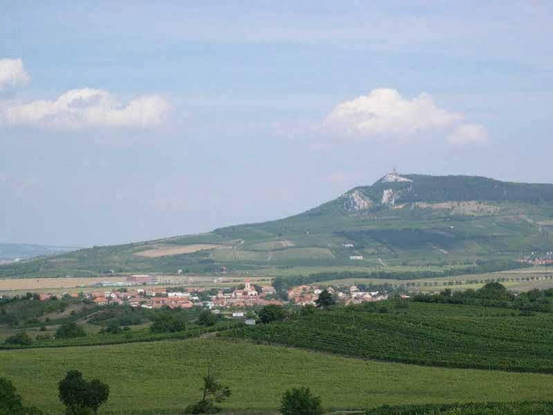 Penzion Barina Dolní Dunajovice Εξωτερικό φωτογραφία